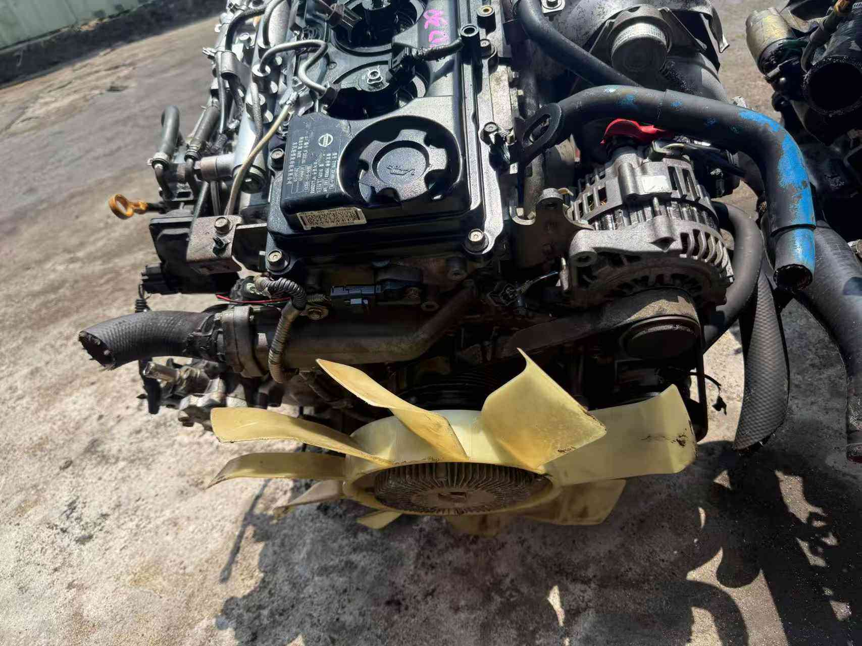 Nissan ZD30 diesel engine for sale front view