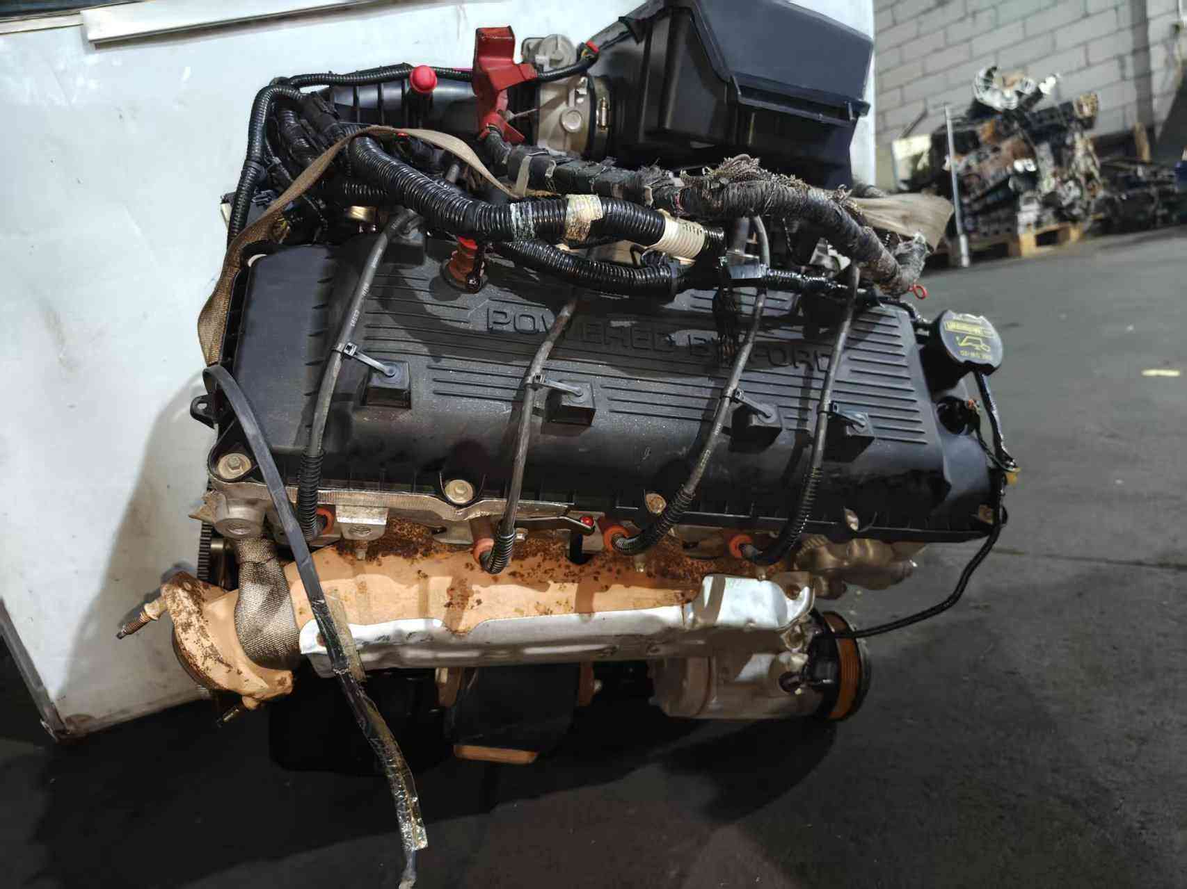 Ford 6.2 Duratec V8 engine exhaust side with Powered by Ford valve cover